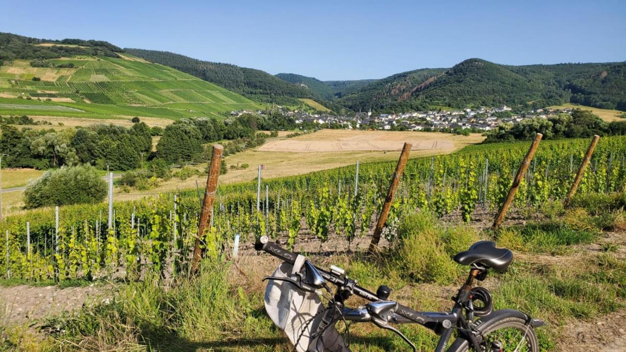 Ferienwohnung Im Moseltal Veldenz Exteriör bild