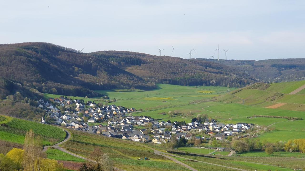 Ferienwohnung Im Moseltal Veldenz Exteriör bild