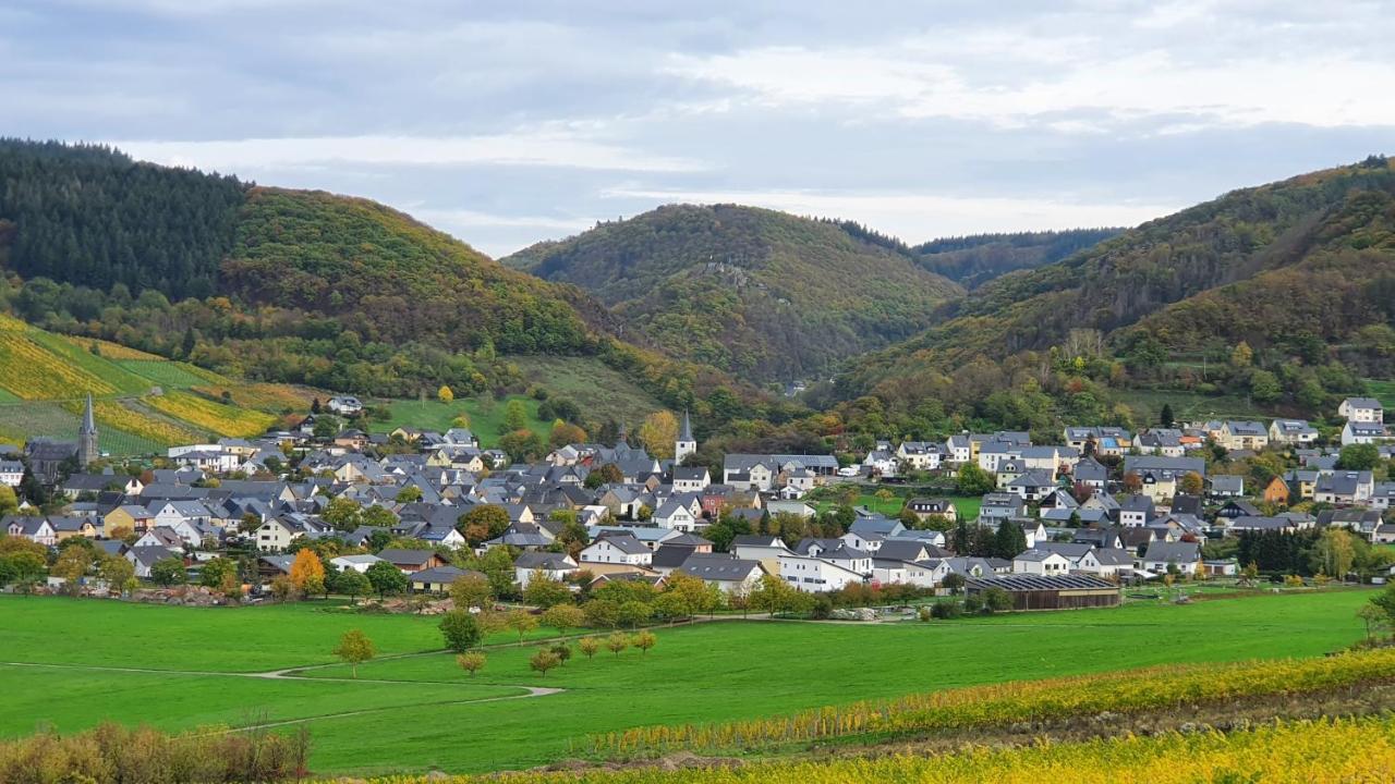 Ferienwohnung Im Moseltal Veldenz Exteriör bild