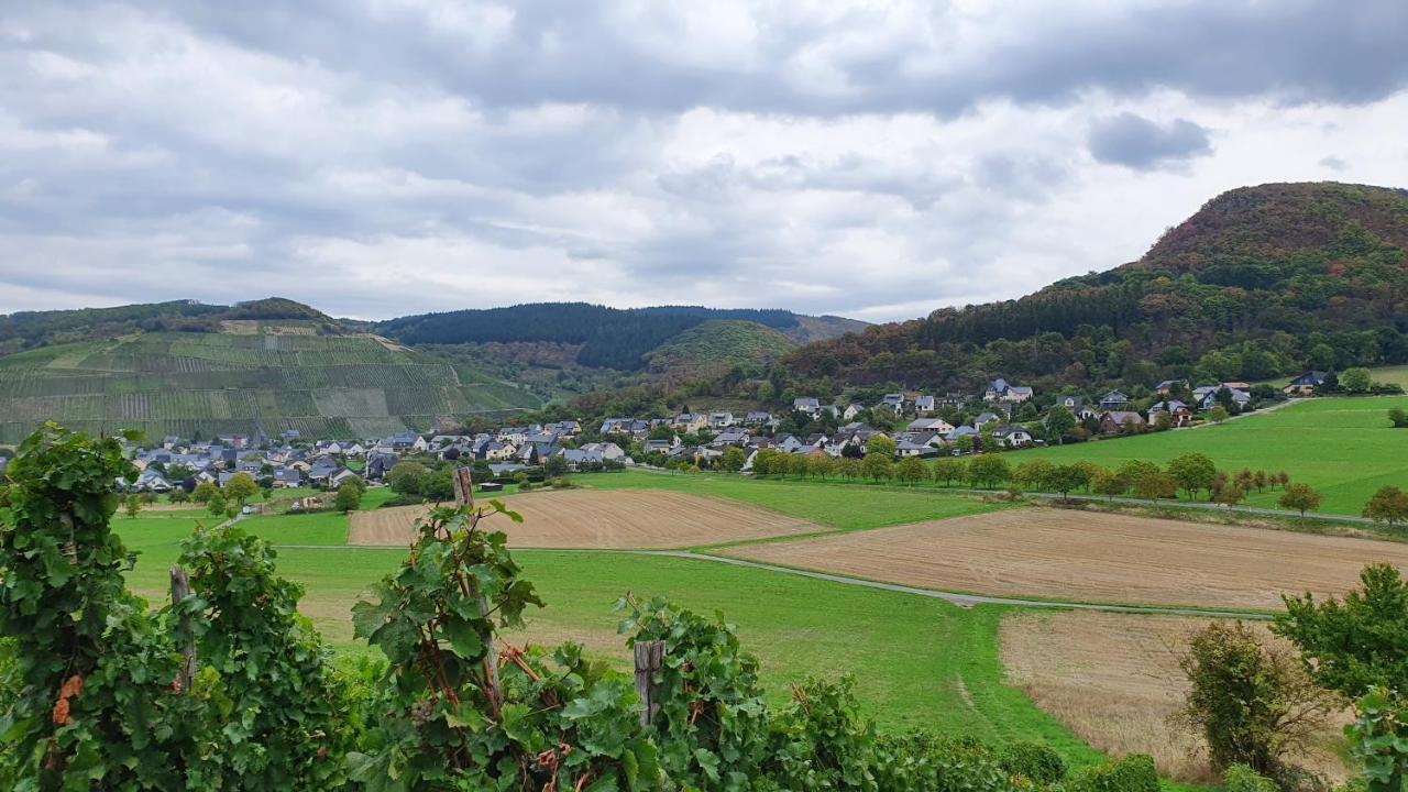 Ferienwohnung Im Moseltal Veldenz Exteriör bild