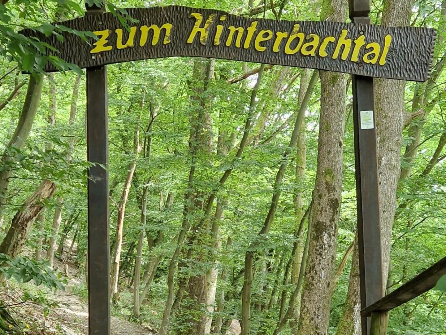 Ferienwohnung Im Moseltal Veldenz Exteriör bild