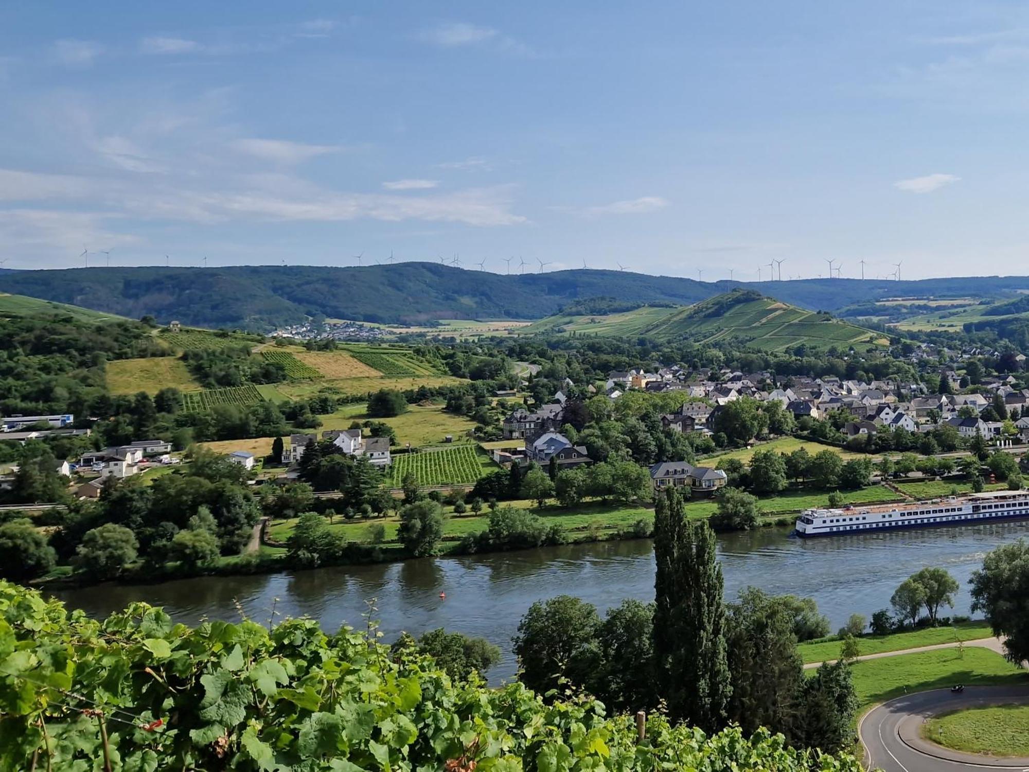 Ferienwohnung Im Moseltal Veldenz Exteriör bild